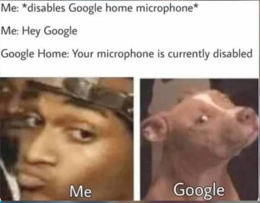 15696