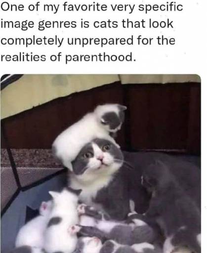 15701