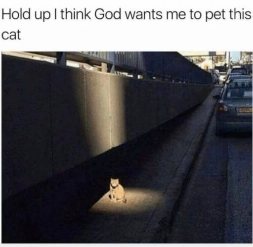 15809
