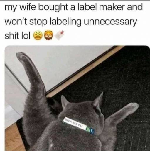 15876