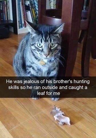 15904