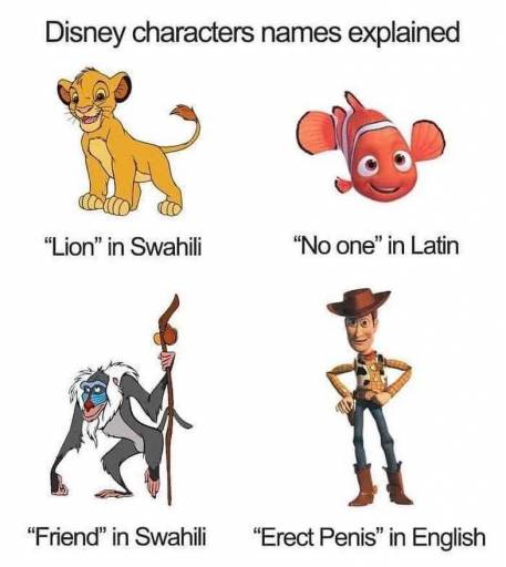 15907