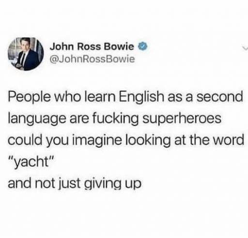 15911