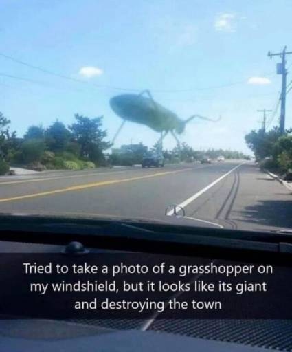 15951