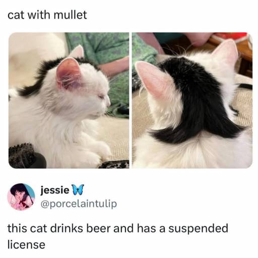 15960