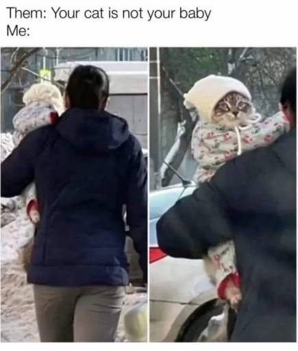 15966