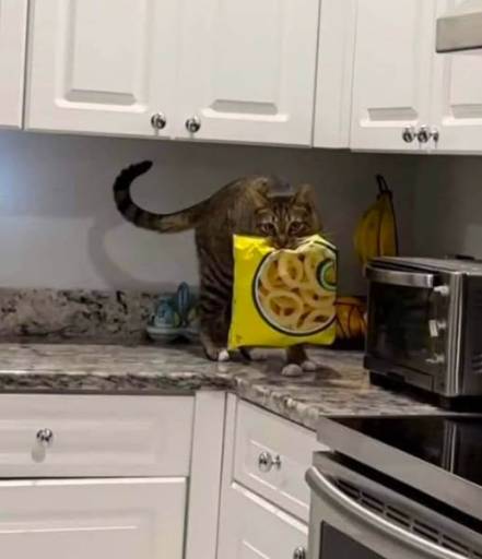 15985