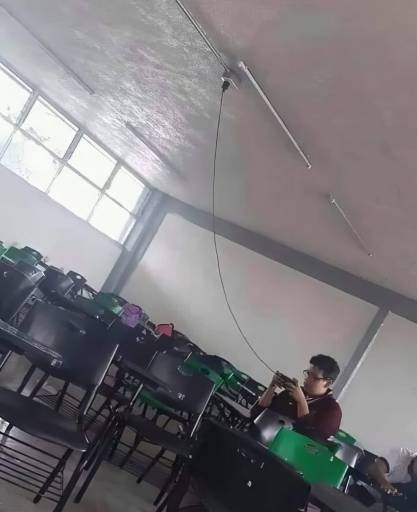 16037