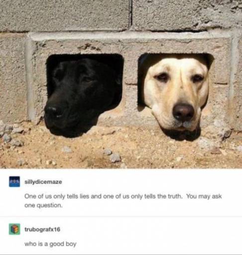 16098