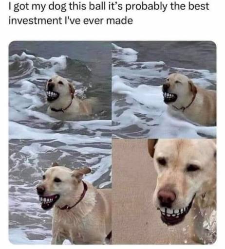 16099