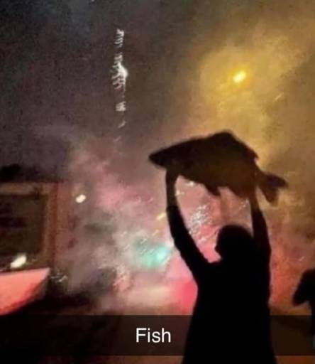16133