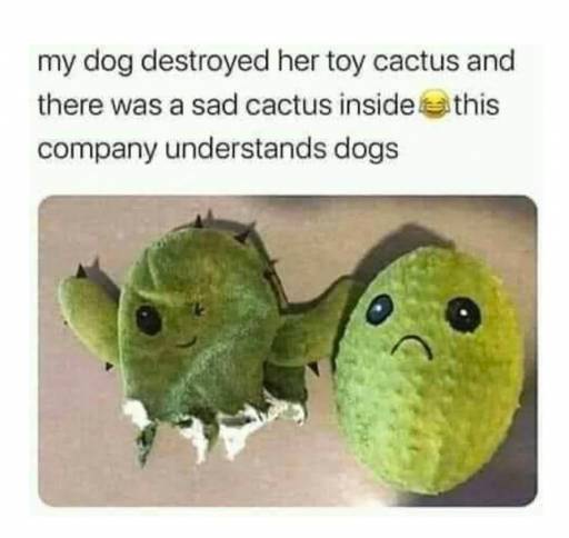 16142