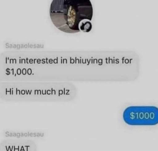 16144
