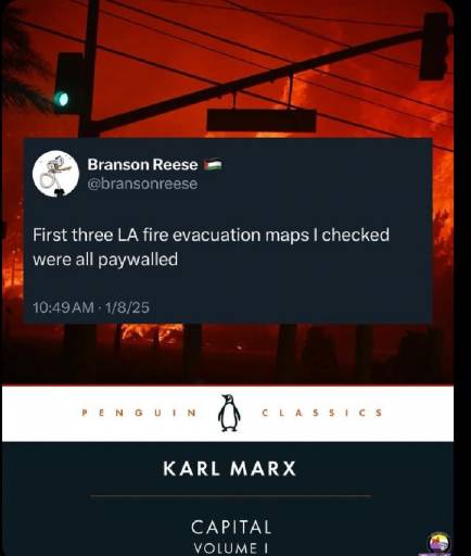 16146