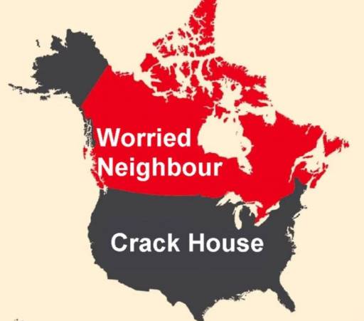 16156