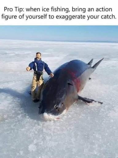 16164