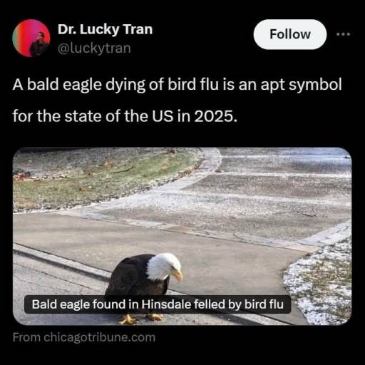 16177