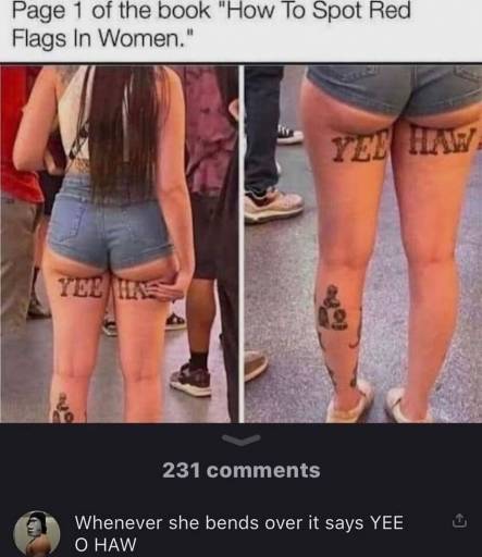 16223