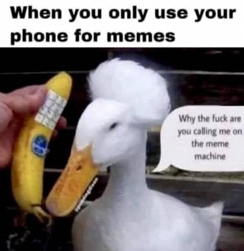 16224