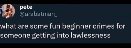 16231