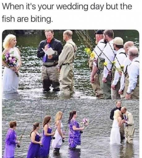 16238