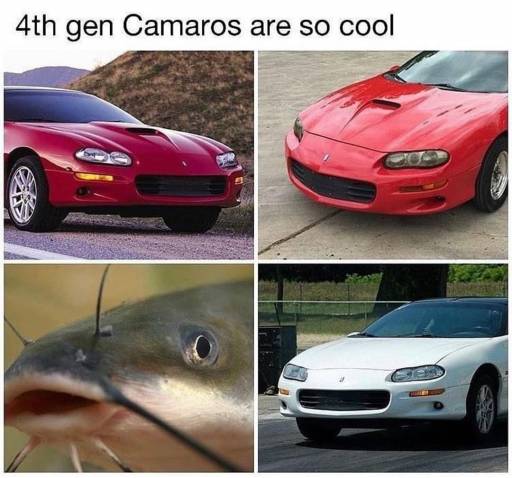16243