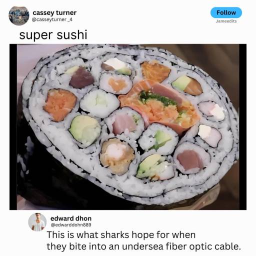 16249