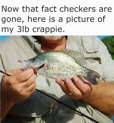 16259