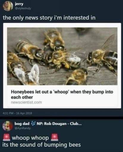 16267