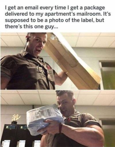 16281