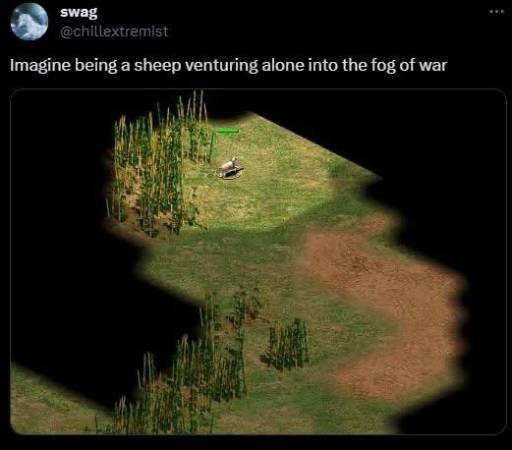 16297