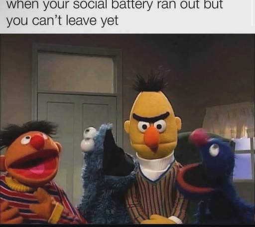 16325