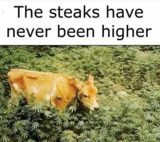 16332