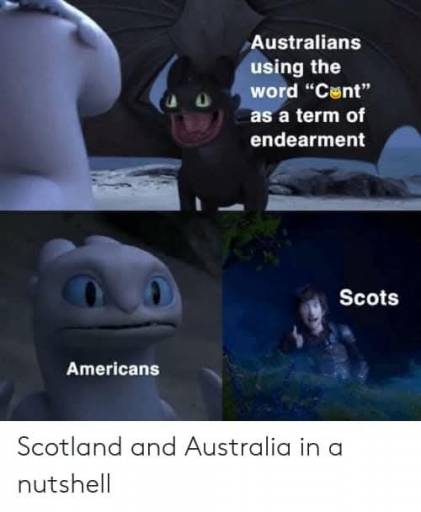 16337