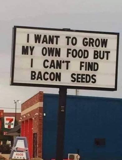 16359