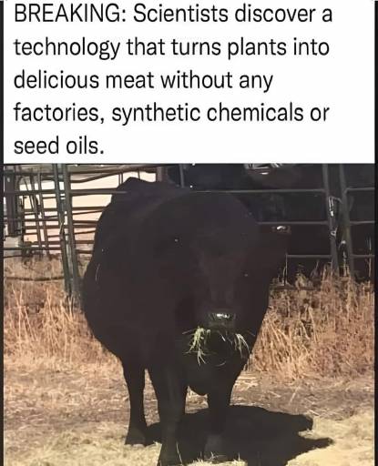 16372
