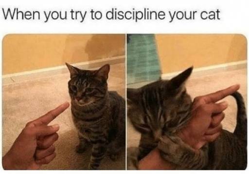 16375