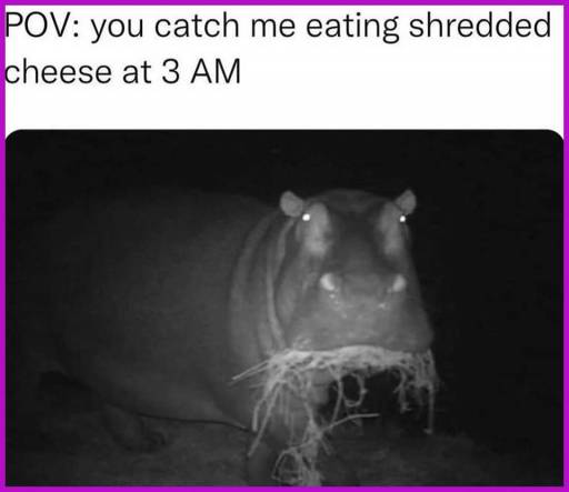 16394