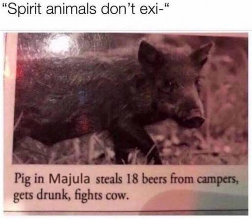 16400