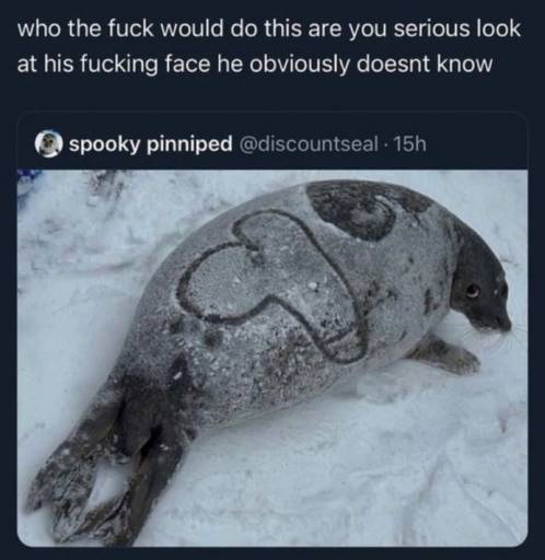 16421