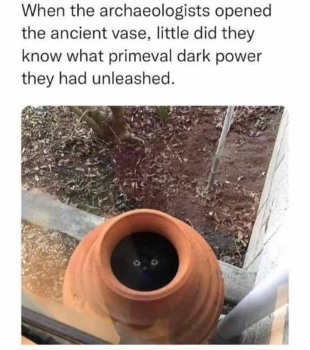 16439