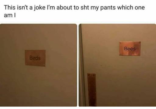 16467