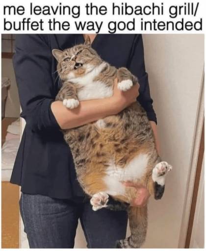 16468