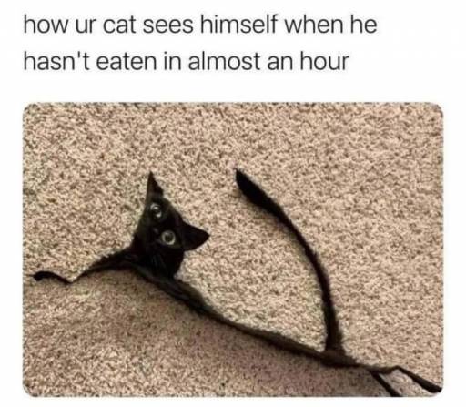 16479