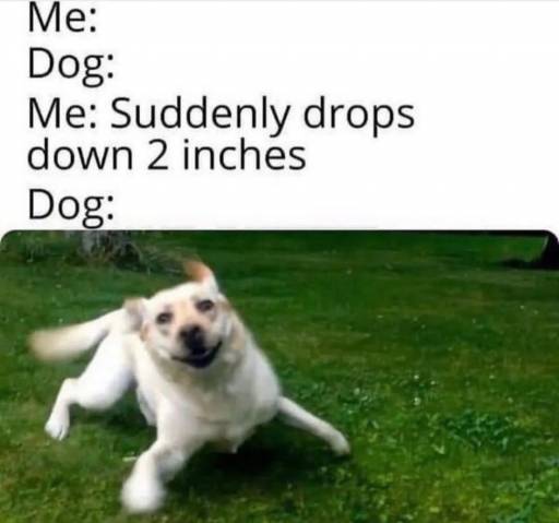 16490