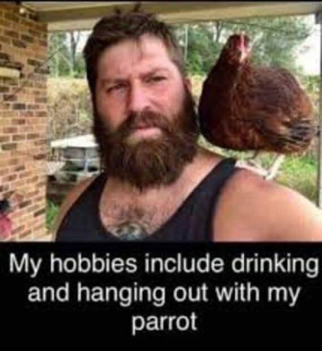 16491