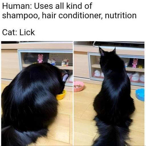 16492