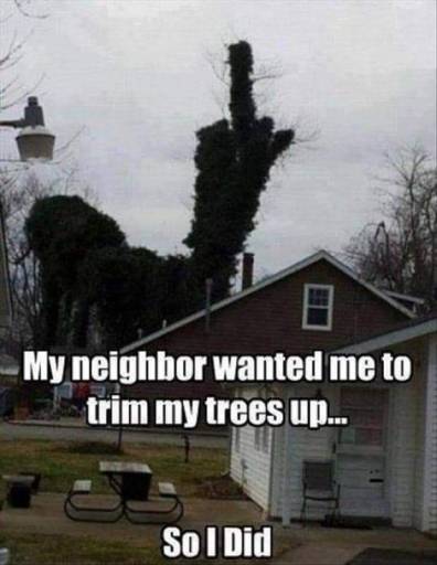 16495