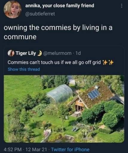 16504