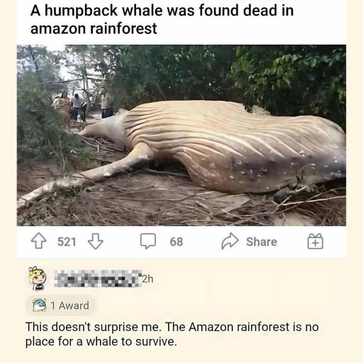 16547